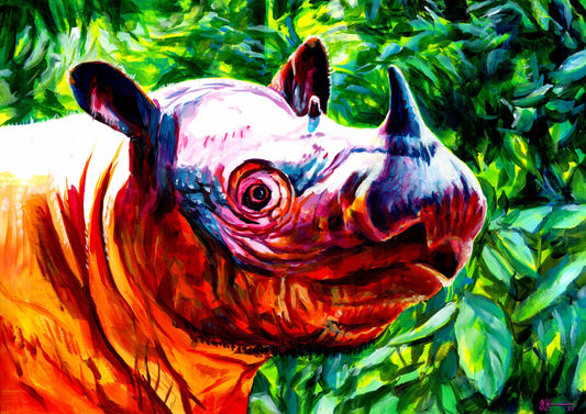 Sumatran Rhinoceros