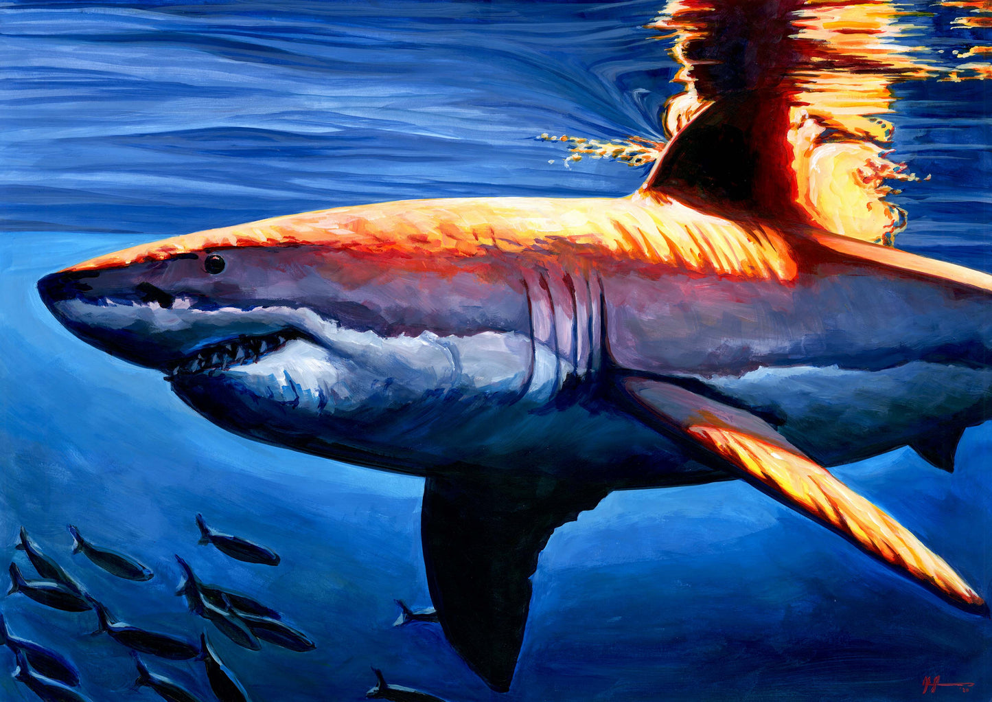 Evening Swim - Great White Shark