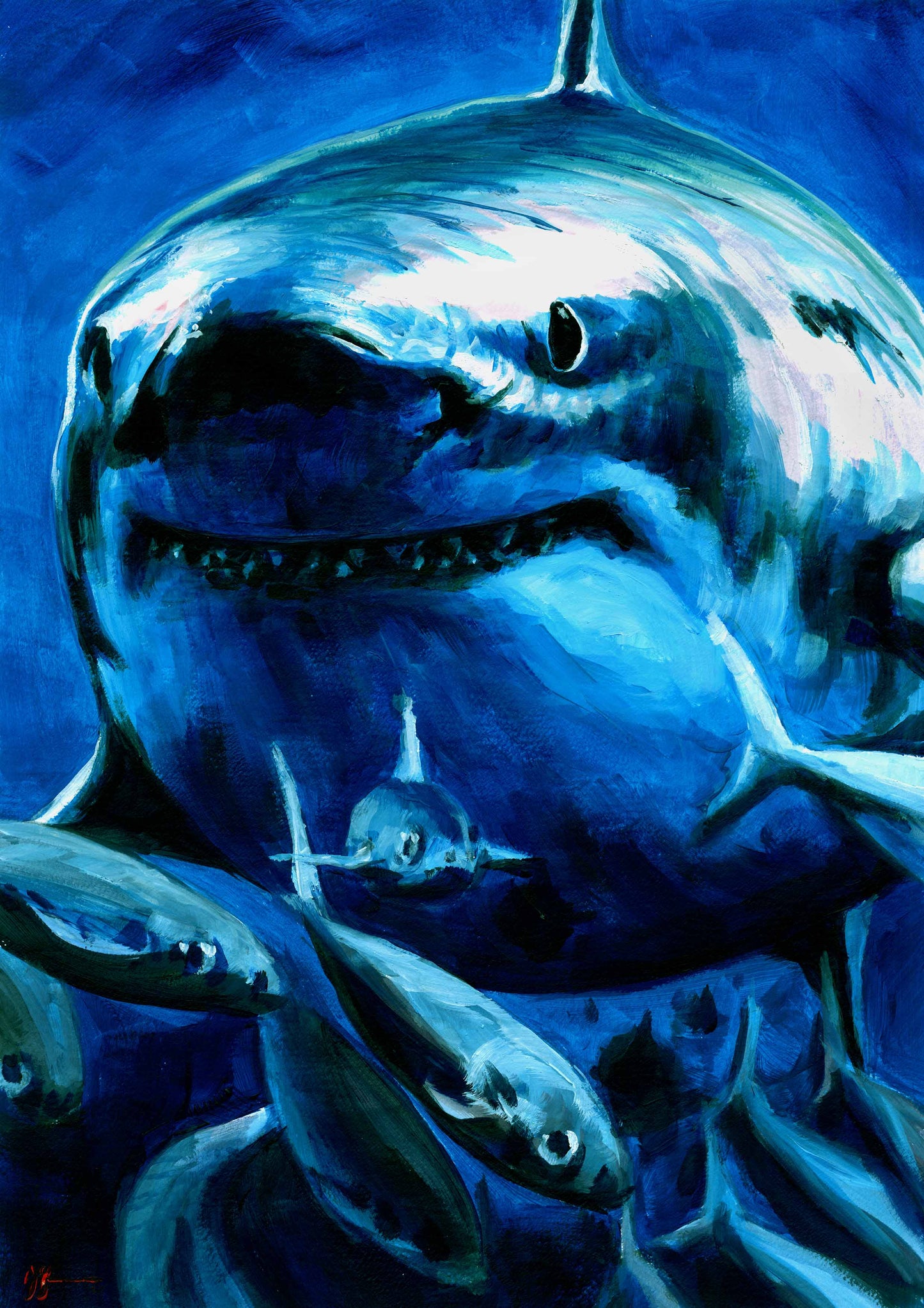 Playing With Fish - Great White Shark