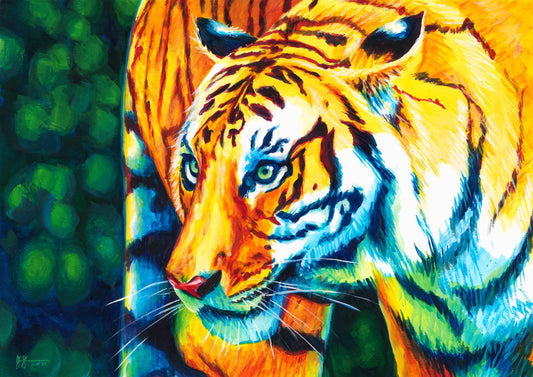 Sumatran Tiger