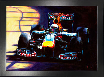 Sebastian Vettel - 2010 Abu Dhabi Grand Prix